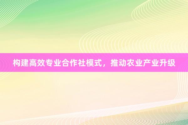 构建高效专业合作社模式，推动农业产业升级